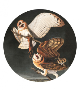 Wanddekoration - MURAL DOTS Owls