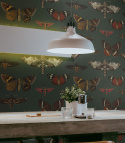 Butterflies and moths wallpaper by Wallcolors roll 100x200